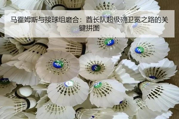ma-huo-mu-si-yu-jie-qiu-zu-mo-he-qiu-zhang-dui-chao-ji-wan-wei-mian-zhi-lu-de-guan-jian-pin-tu-3-184.jpg